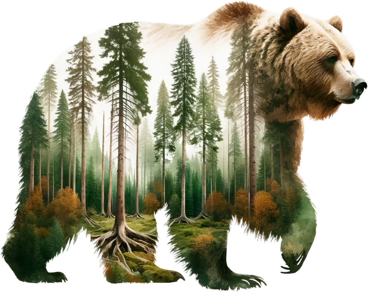 Bear Nature Heat Transfer