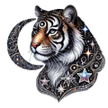 Tigers P1 Heat Transfer