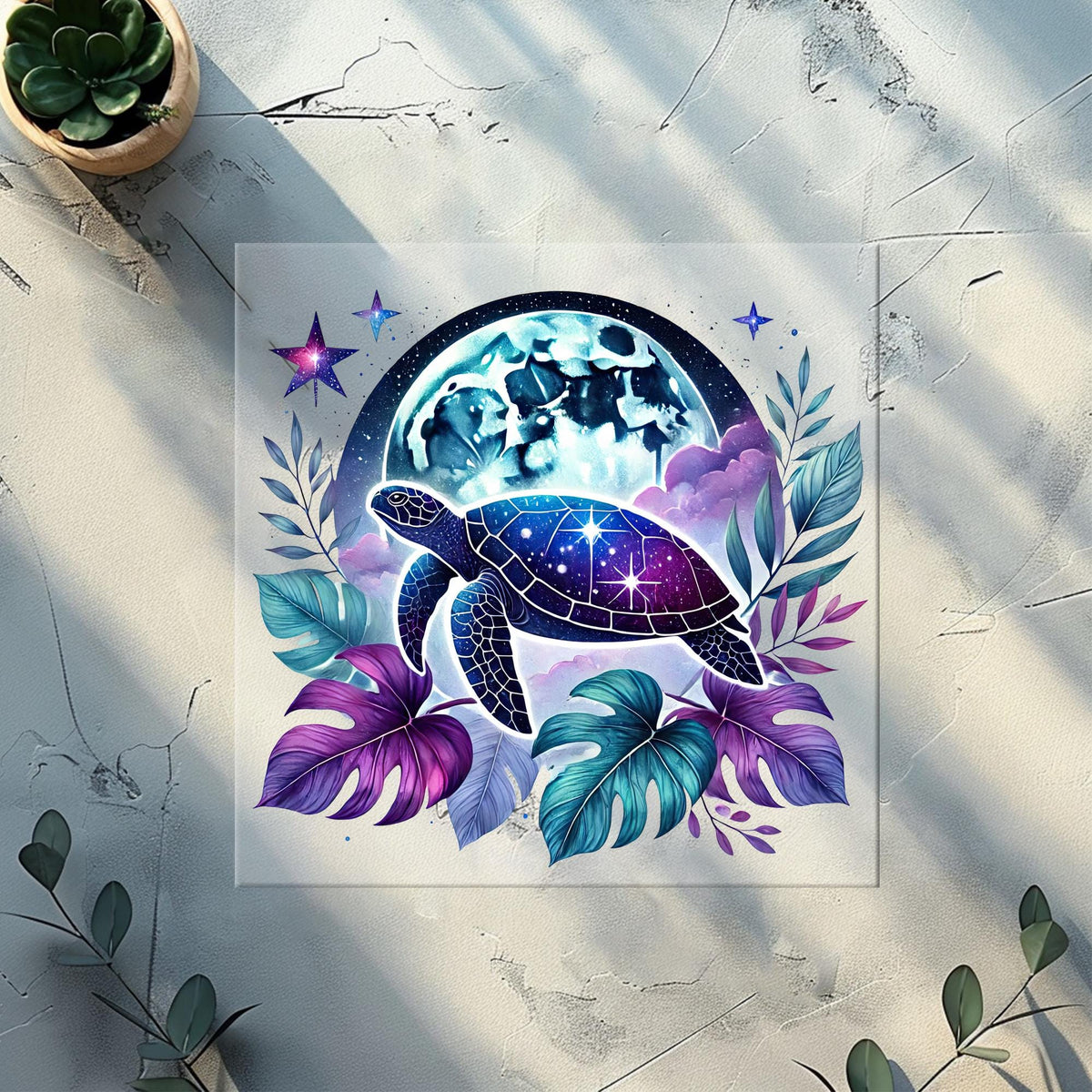 Galaxy Sea Turtles Part 2 Heat Transfer